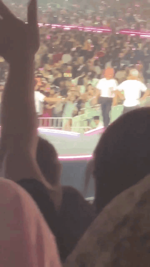 灿白 GIF