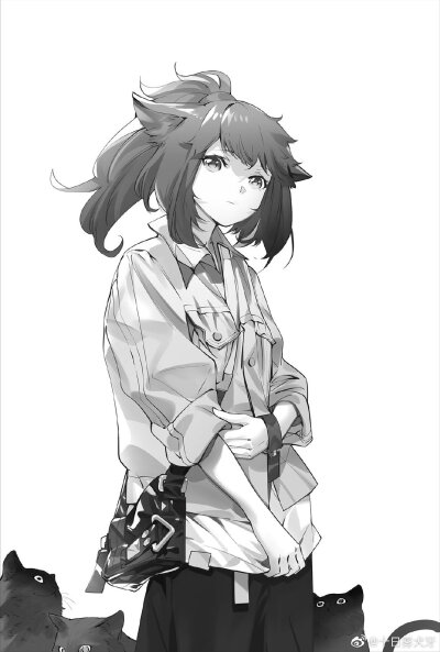 ★明日方舟★