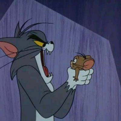 猫和老鼠 情头 自截