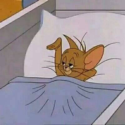 猫和老鼠 情头 自截