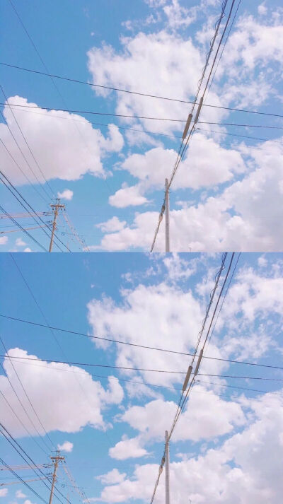 来自一只猪的壁纸