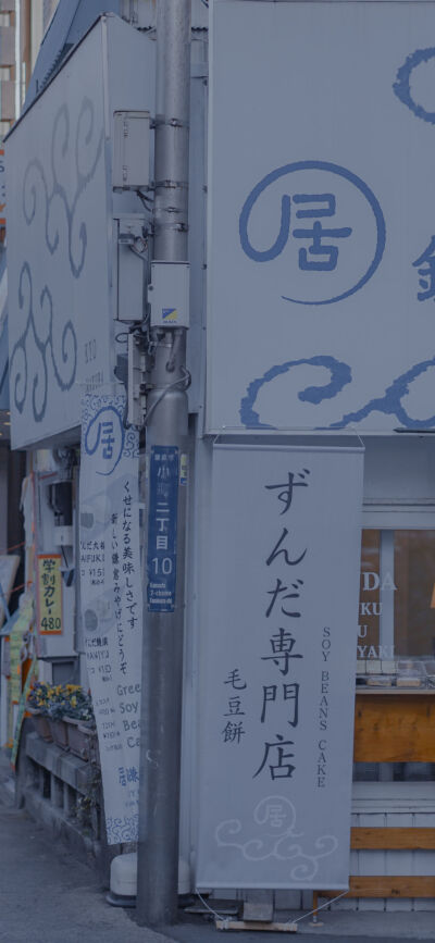 来自一只猪的壁纸