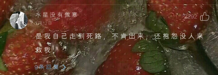 自截网易评论