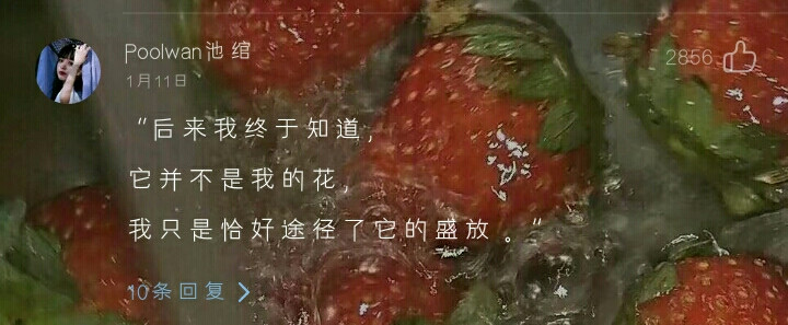 自截网易评论