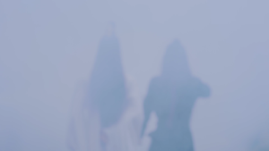  陈情令电脑壁纸  肖战王一博