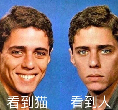 沙雕图