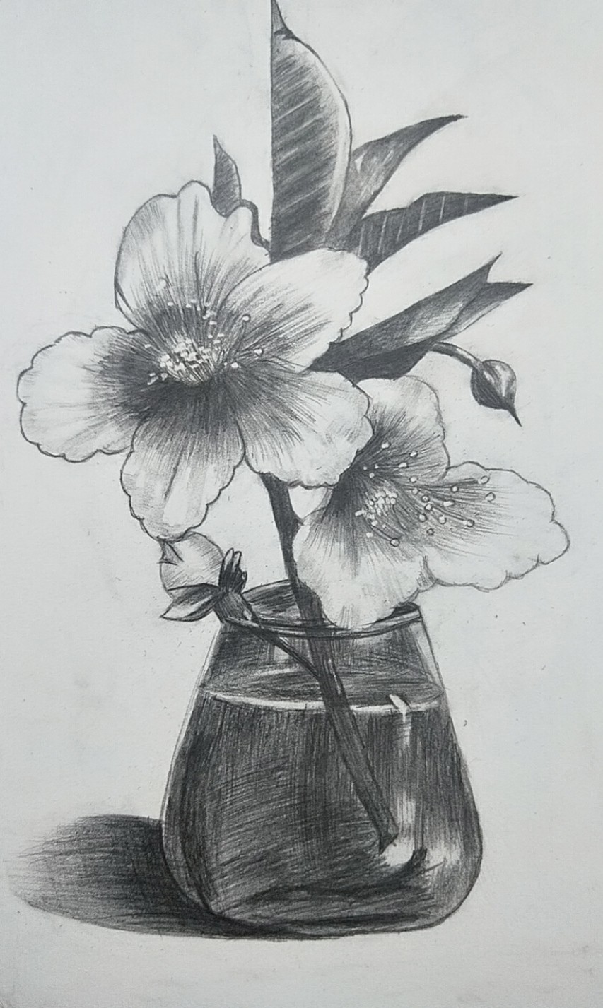 素描花卉