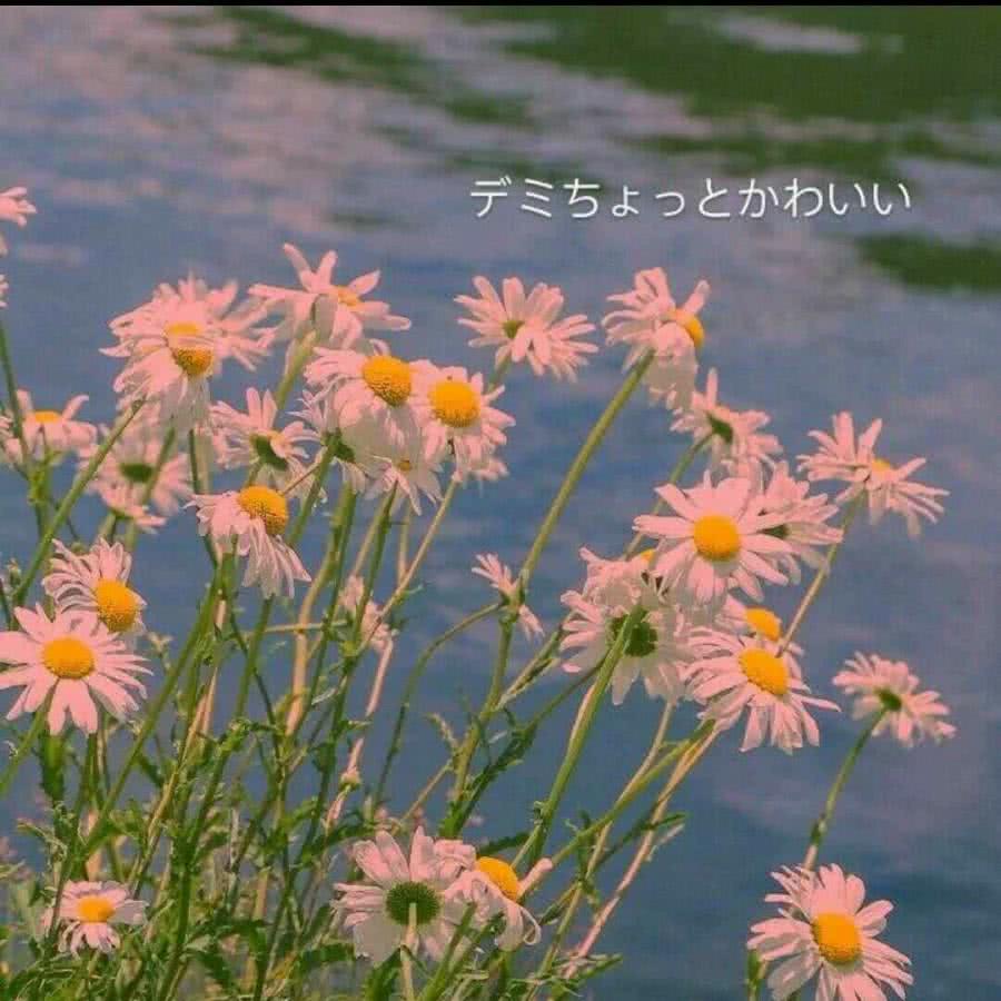 背景图²