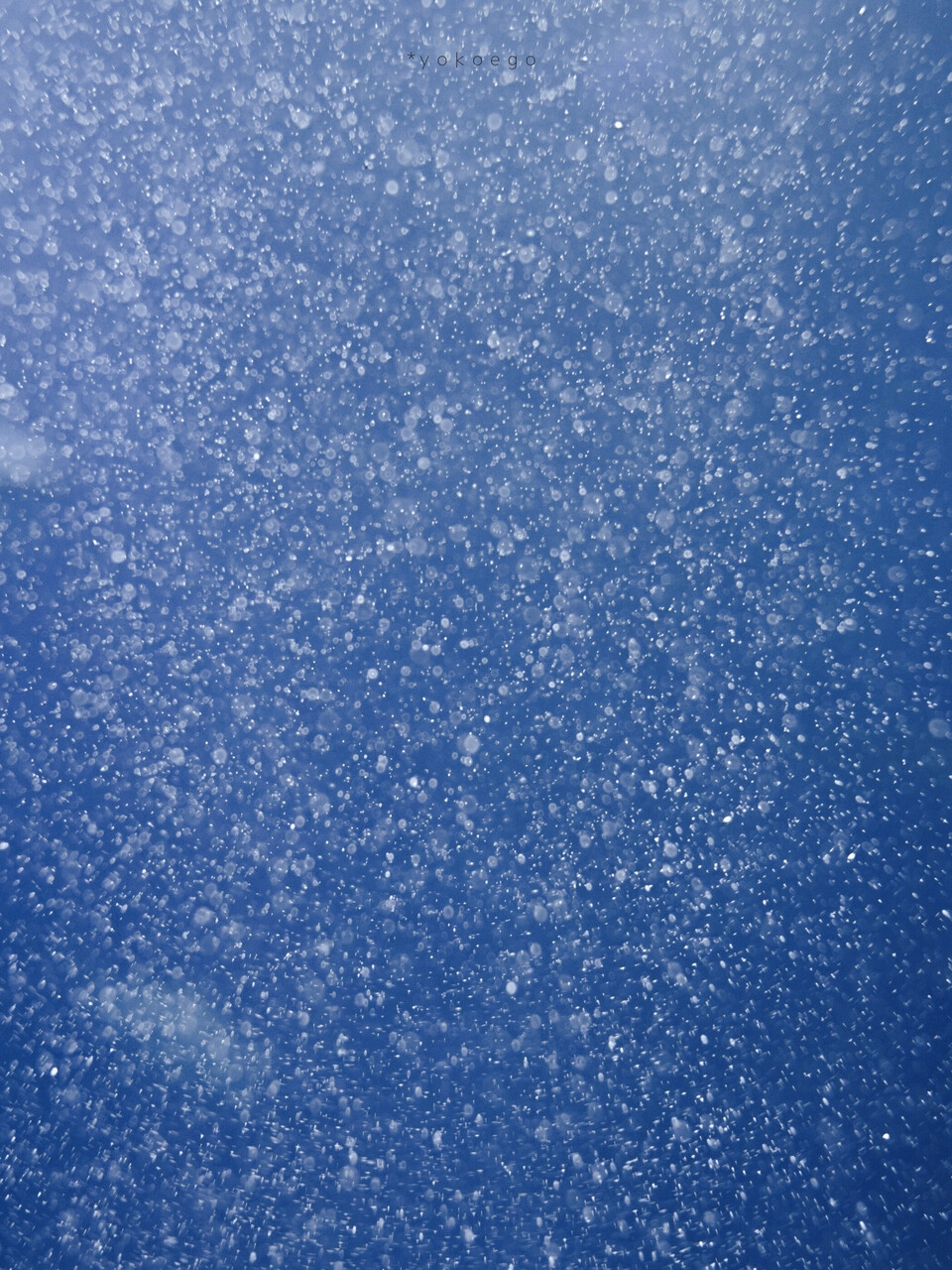 温柔的格调温暖的美。