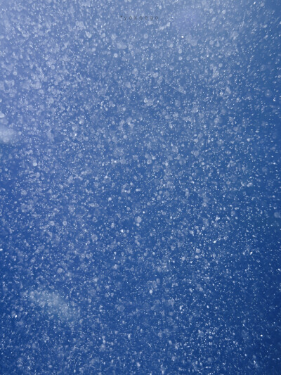 温柔的格调温暖的美。