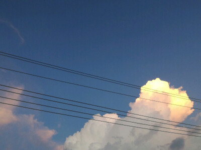 温柔的格调温暖的美。