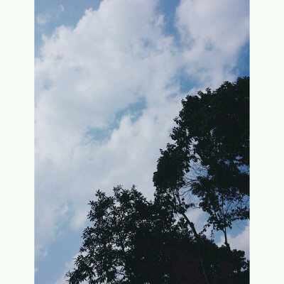 心因你而变得柔软呢。