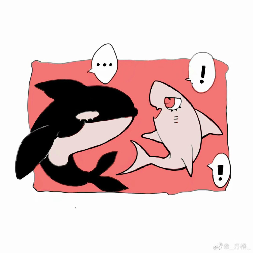 明日方舟 斯蒂卡 幽灵鲨