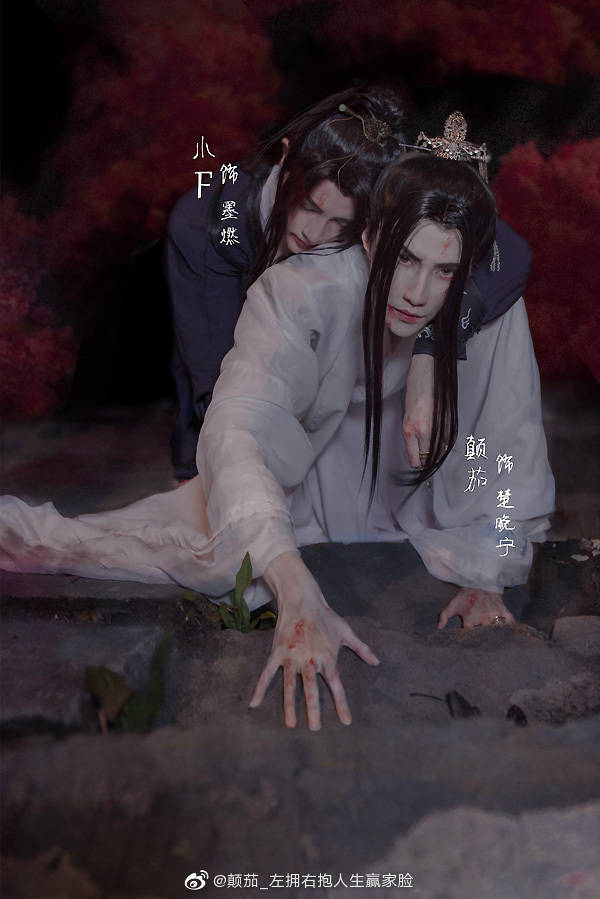 二哈和他的白猫师尊