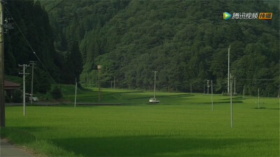 《小森林》夏秋篇✨✨✨✨