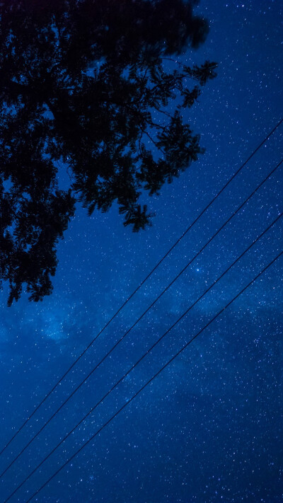 小时候喜欢在夏天的夜晚里，躺在凉席上，看满天星河，听蛙鸣和虫叫，充满着对未来的幻想。
摄影: @-粥乔
#时光留夏# ​