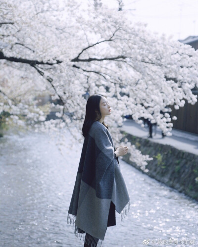 谢雨泓