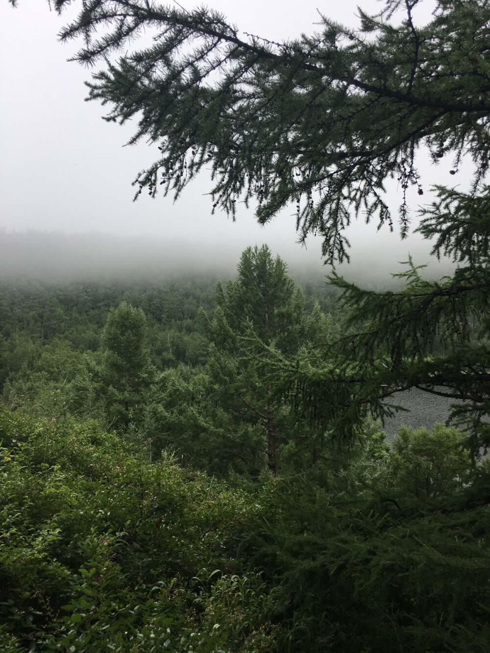 柴河小镇分布着七个海拔千米以上的高山天池，并与天上的北斗七星对应分布，在世界上实属罕见。其中：月亮天池是世界上最圆、最具满月姿容的天然高山天池，是世界上唯一与月亮天地交融、神形皆似的天池。同心天池是世界上最接近心形的天池，也被称为月亮天池。月亮小镇四季变化分明，呈现出“春红、夏翠、秋彩、冬银”的四季色调，春季百花吐艳、姹紫嫣红；夏季苍山雾海、群峰滴翠。