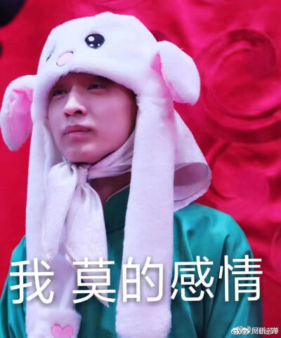 德云女孩必备表情包②