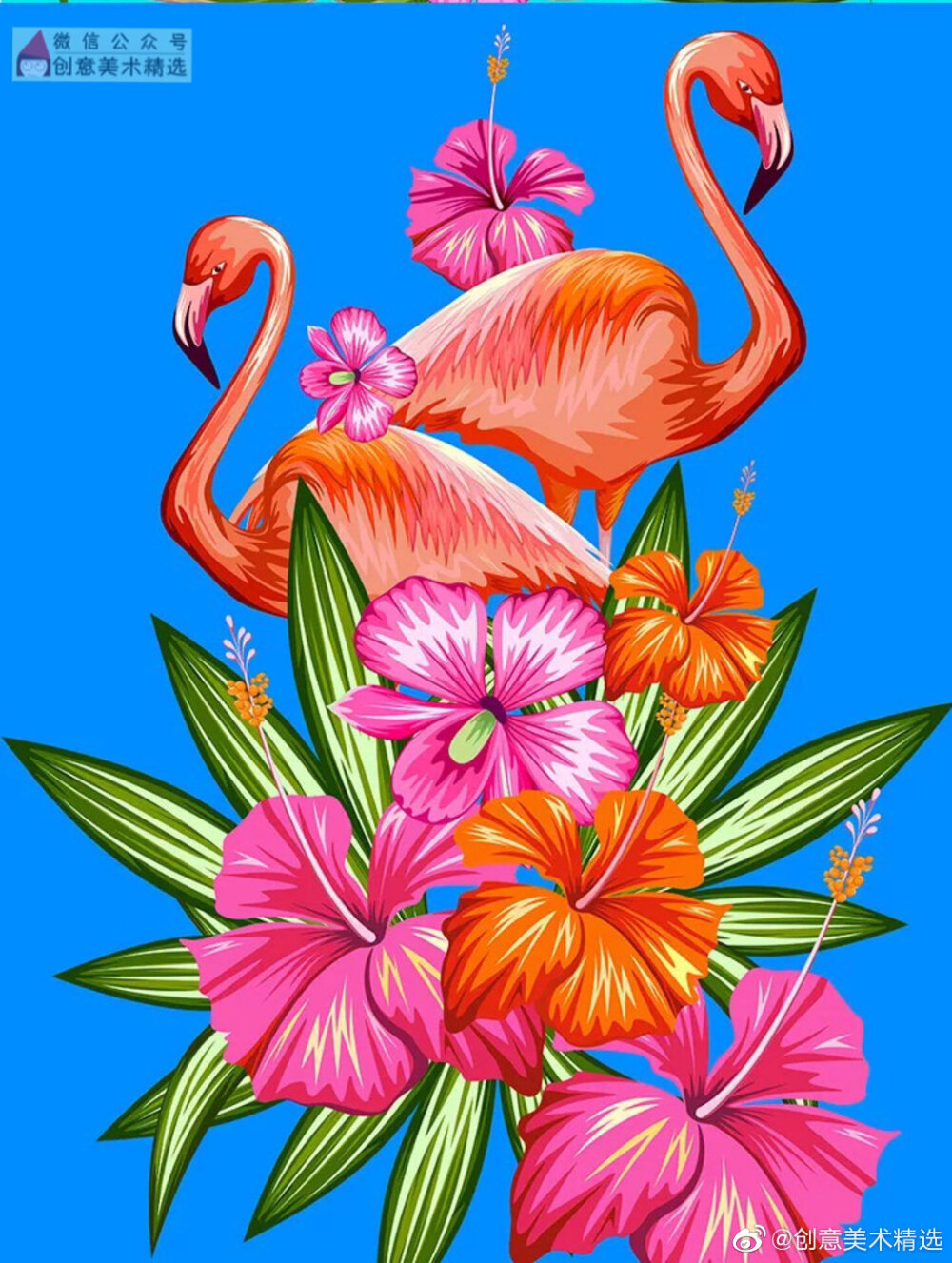 画画画