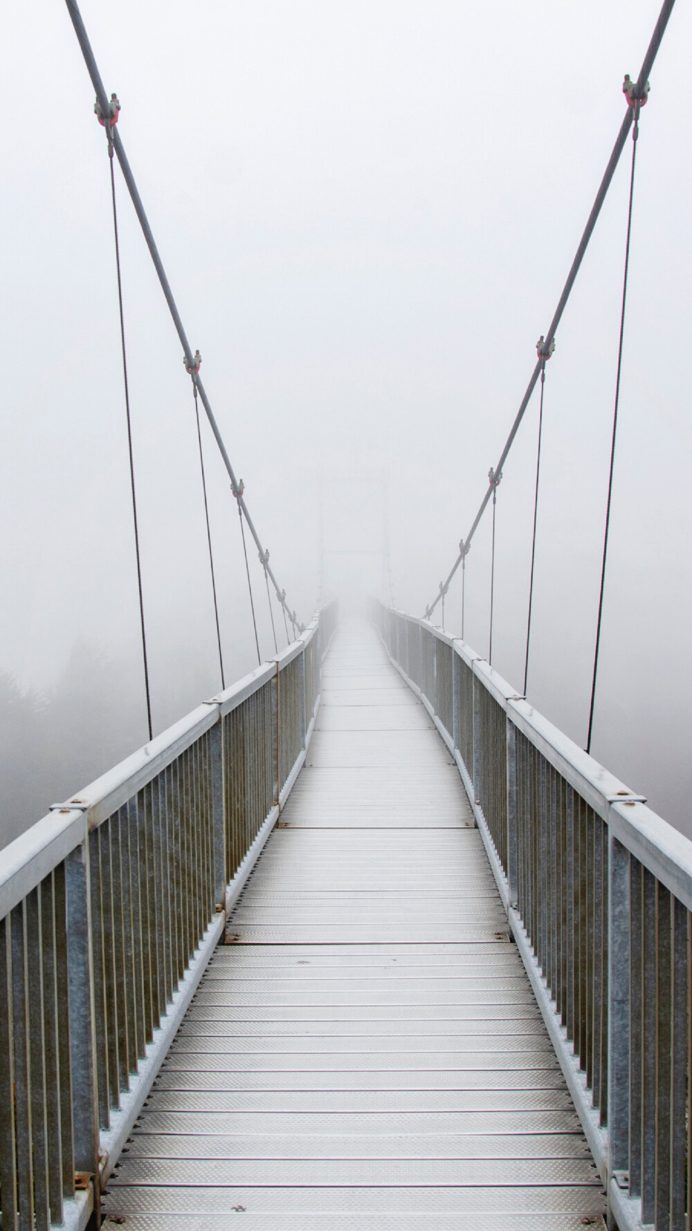 版权保护，禁止商用（图片来源于图凌APP）