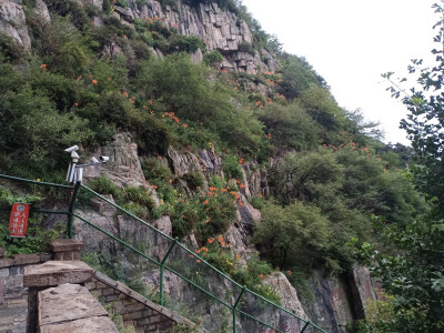 泰山，我来了。
期待已久的泰山之旅，早上下雨，没看到日出有点可惜，徒步爬上爬下，很累，好几天才歇过来（可能是我体力差^_^），但自己觉得很值得。找时间再来一次。