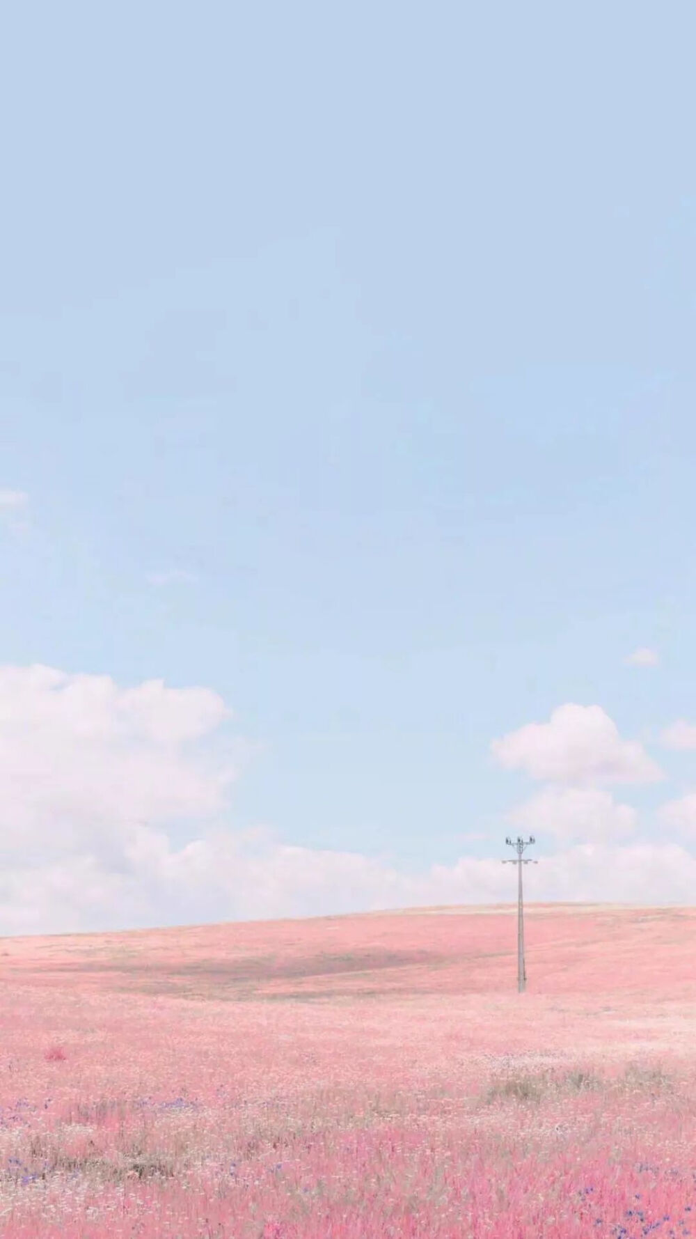 可爱卡通动漫壁纸简约风景静物