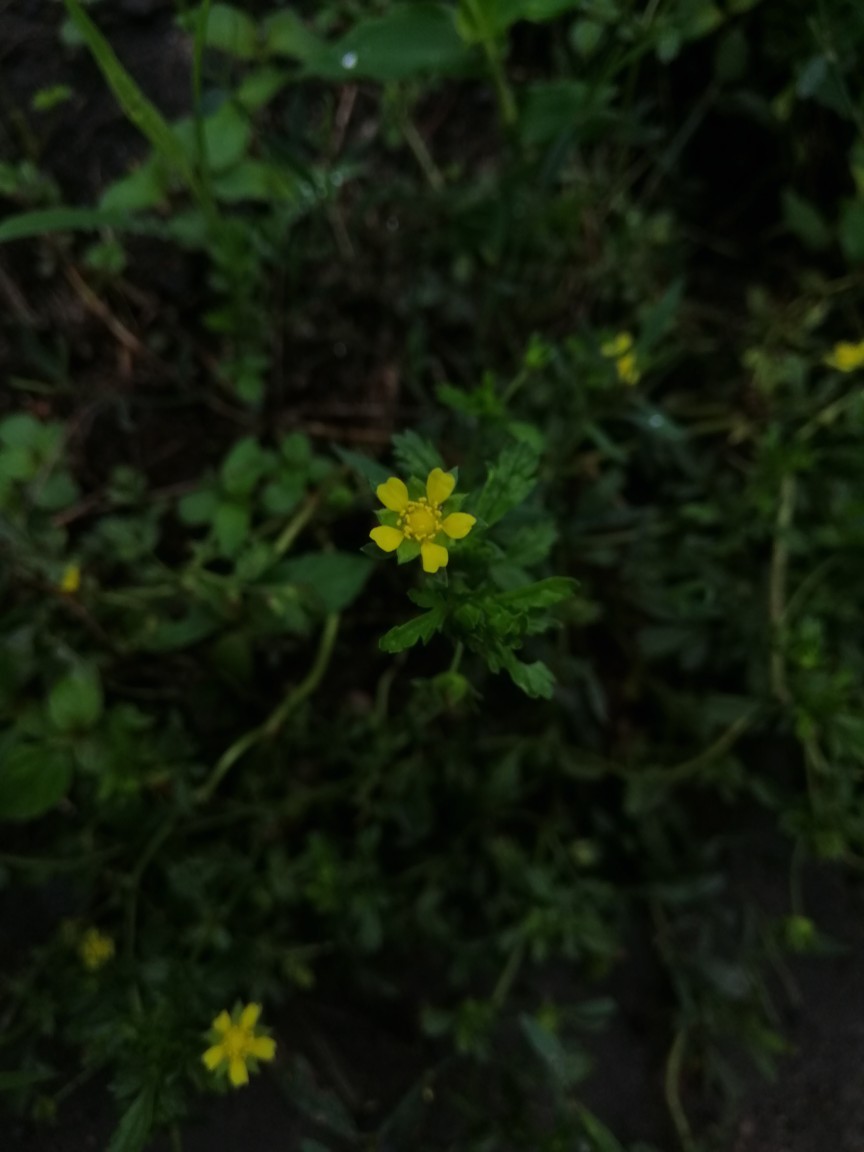 难过的日子我自己熬过去的
你陪我过快乐的日子就好
☘