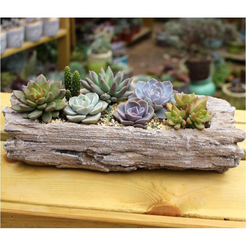 欧式出口仿树桩花盆