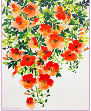 水彩花卉
水粉