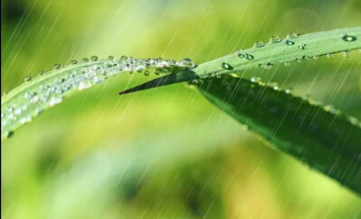 大弦嘈嘈如急雨，小弦切切如私雨