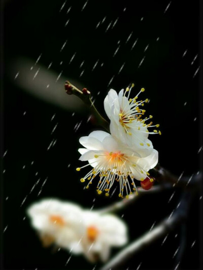 对潇潇暮雨洒江天，一番洗清秋