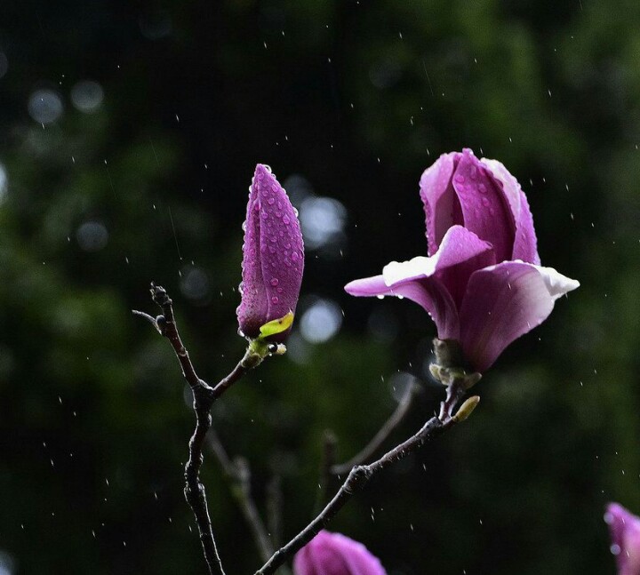 对潇潇暮雨洒江天，一番洗清秋