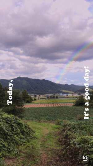 清新壁纸