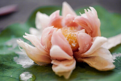 莲花酥
cr@日食记