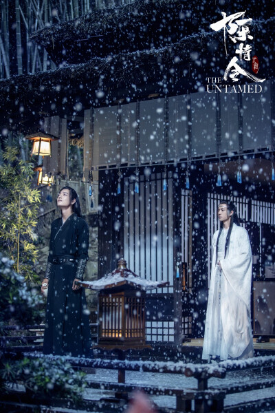 [cp]【令·影】#魏无羡蓝忘机雪夜谈心#
#陈情令# 静室琴声遥，埋雪风华貌。 ​​​[/cp]