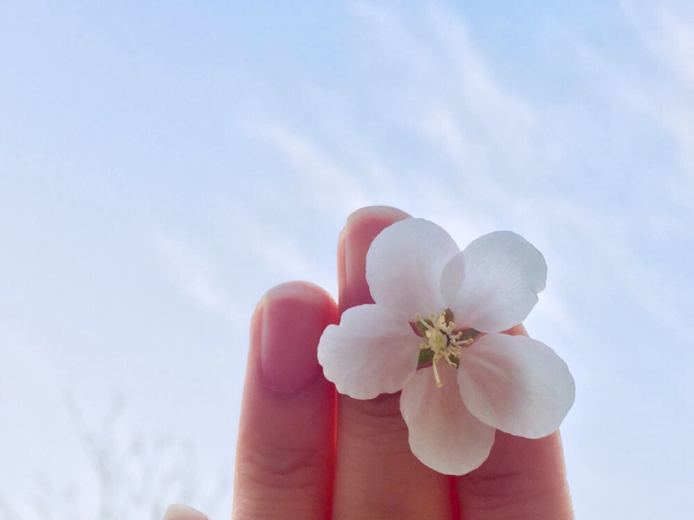 天灾易过 人祸难挡 最暖不过人心 最冷亦是人心 莫求他人厚德载物 需让自己自强不息