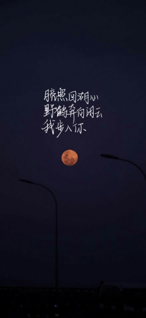 ǝlᴉɯs ɐ pǝʞɔɐɹɔ noʎ ʎɐʍ ǝɥʇ ʎq 'ƃuᴉʞoɾ ǝɹǝʍ noʎ ʍǝuʞ ᴉ