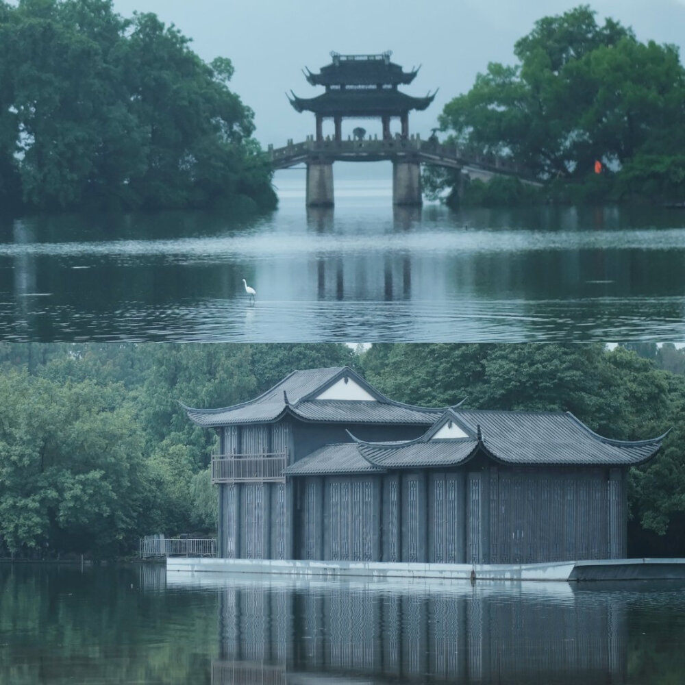 #摄影源于生活#
雨里风荷，夏至已至。 ​
摄影@檀荛 ​​​