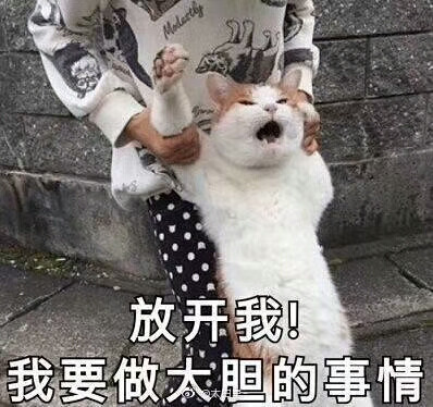 我太难了