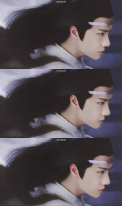 蓝忘机(王一博)