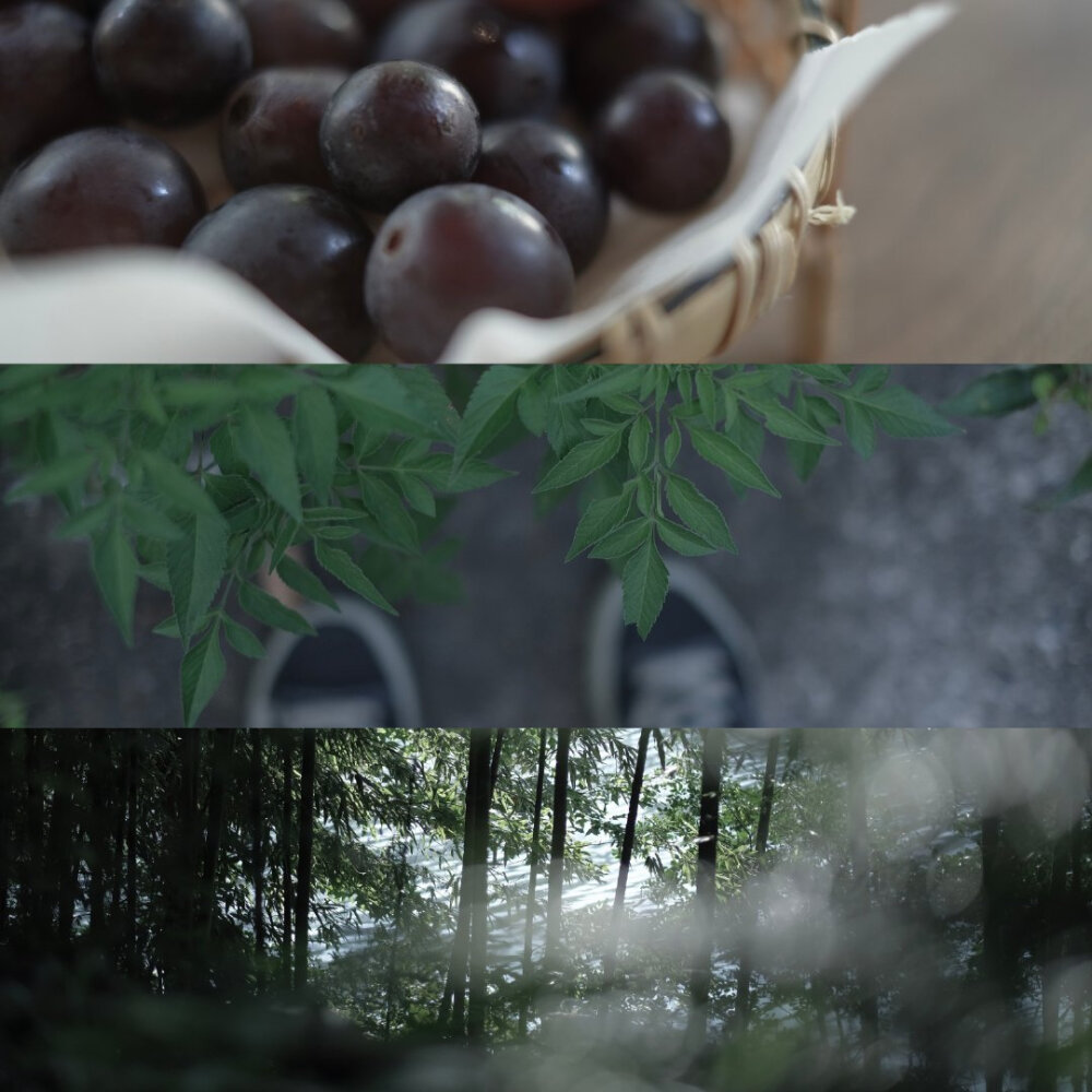 “夏日午后嗡嗡的蝉鸣，那时候以为可以永远躲进这种岁月无限绵长的感觉里。”
摄影：@檀荛 ​