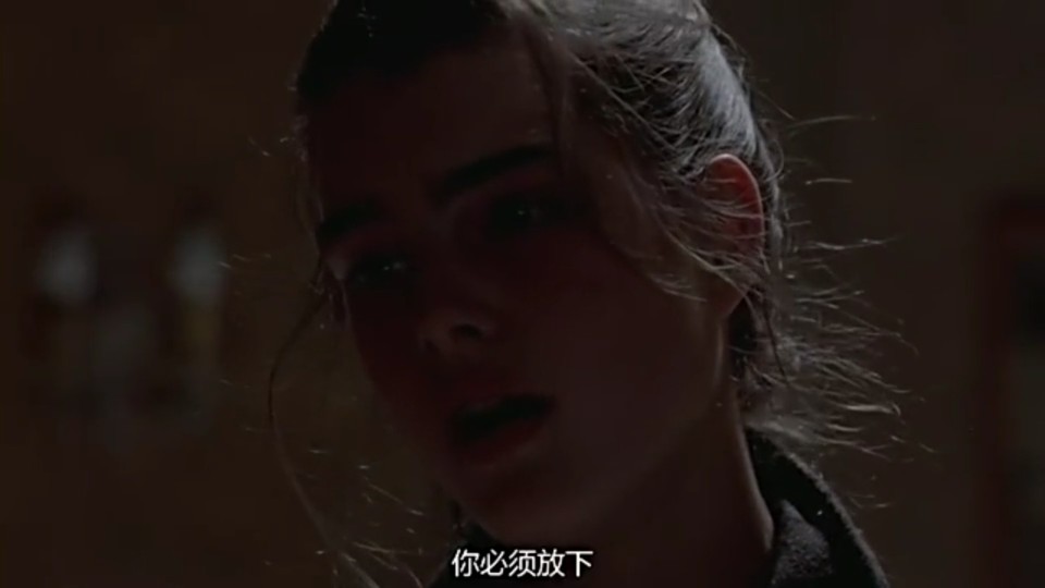 电影《无尽的爱》Endless love (1981年版)