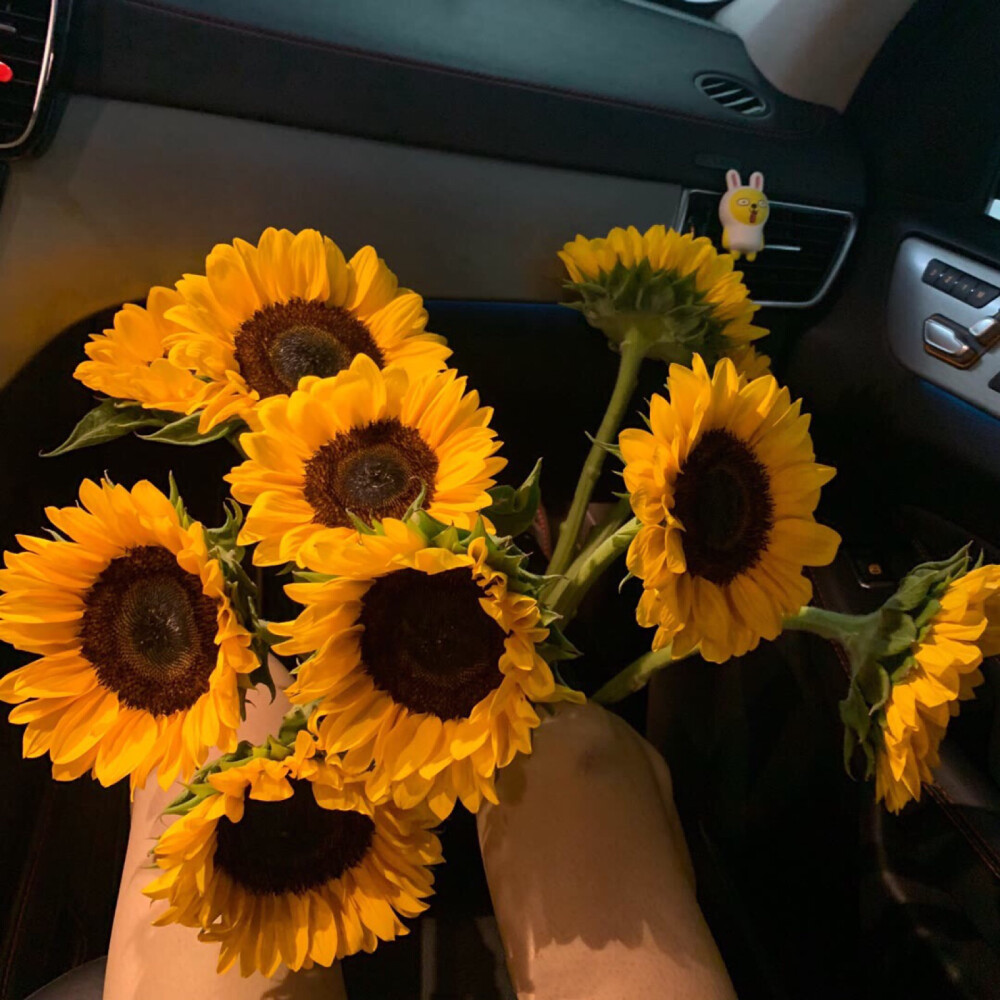 朋友圈/秋秋/ins
空间背景素材潮图