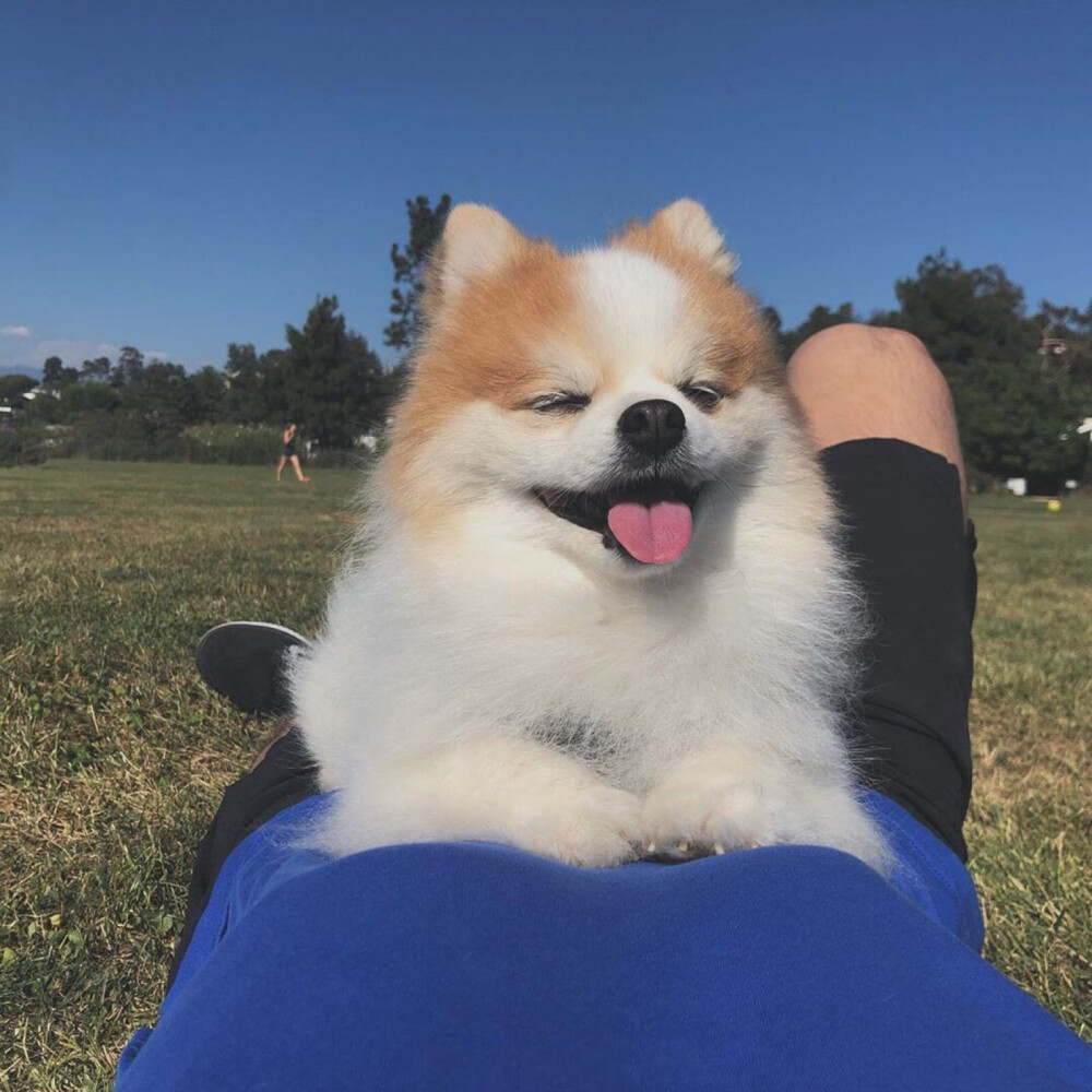 朋友圈/秋秋/ins
空间背景素材潮图