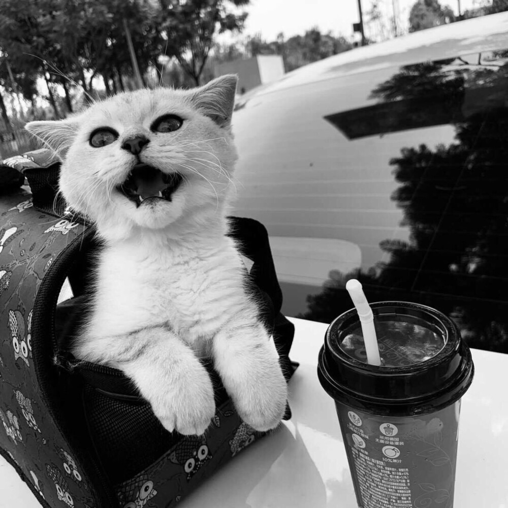 朋友圈/秋秋/ins
空间背景素材潮图