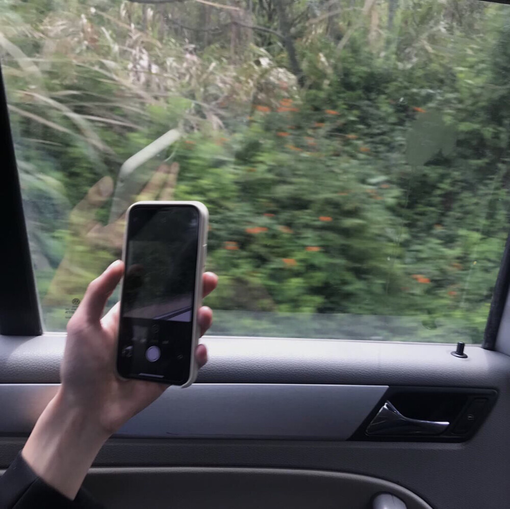 朋友圈/秋秋/ins
空间背景素材潮图