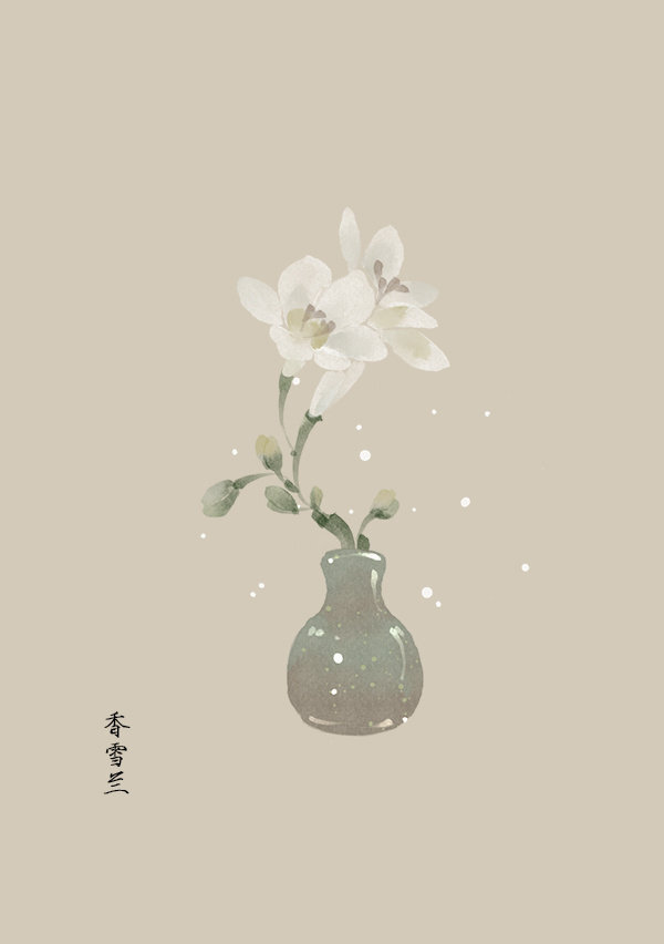 花壁纸