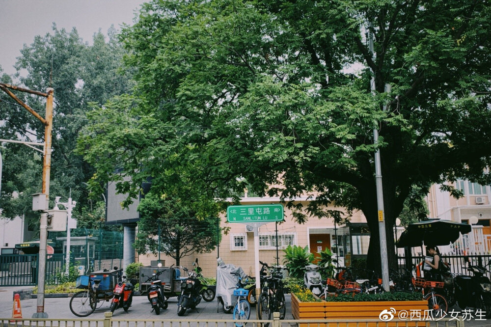 偶然发现三里屯路使馆区，还藏着一条超级小清新的道路，安静又文艺 路过它的夏日葱葱郁郁，期待秋日的满目金黄～【小西瓜的7月拍照打卡 vol.8 】 | #坚持拍照365天# ——————#北京随手拍# | #北京爆料#