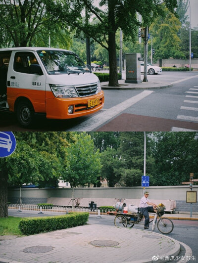 偶然发现三里屯路使馆区，还藏着一条超级小清新的道路，安静又文艺 路过它的夏日葱葱郁郁，期待秋日的满目金黄～【小西瓜的7月拍照打卡 vol.8 】 | #坚持拍照365天# ——————#北京随手拍# | #北京爆料#